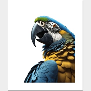 Blue Macaws Vividly Colored Tropical Birds Posters and Art